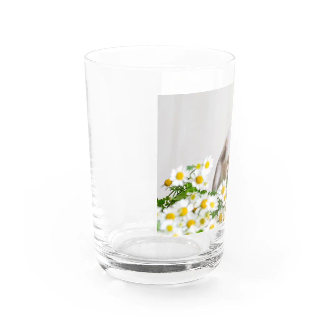 Chouchou Rabiのお花とうさぎ Water Glass :left