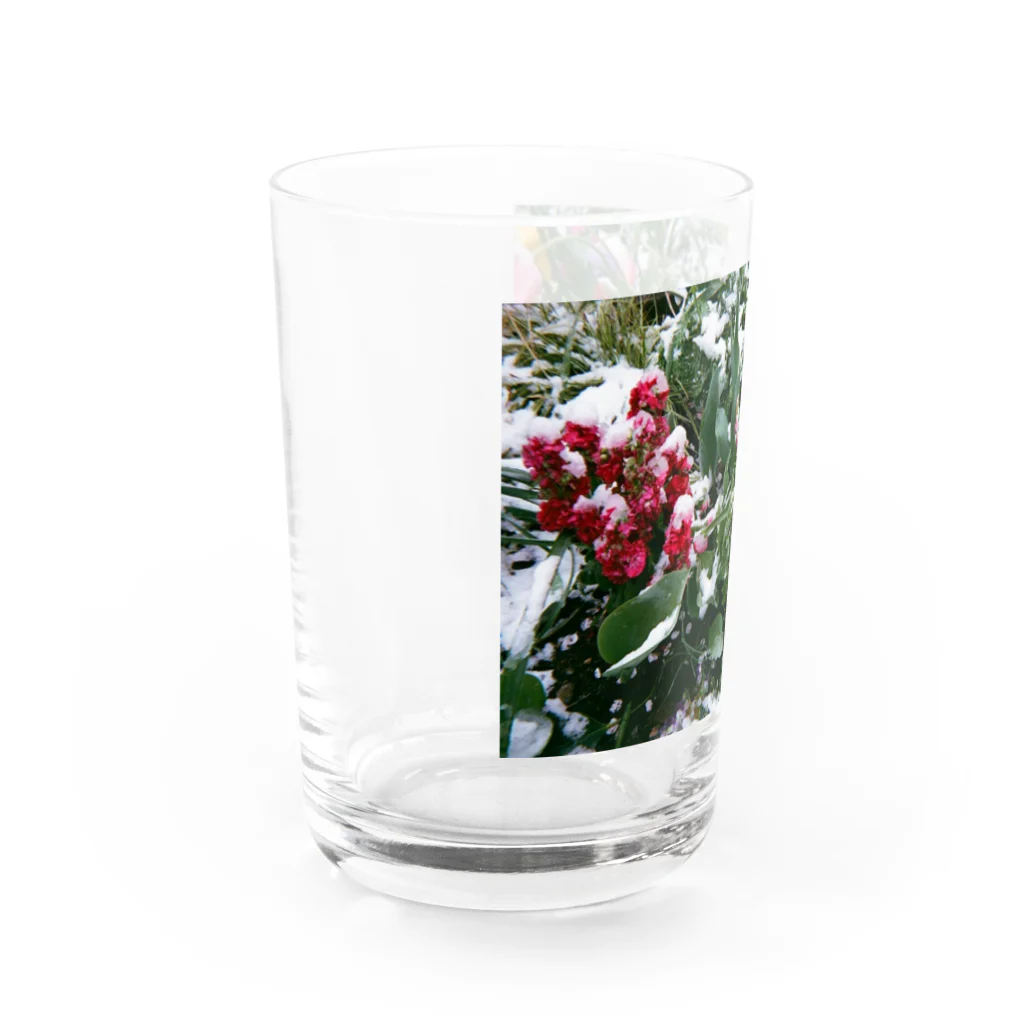 yawn shopの雪の花 Water Glass :left