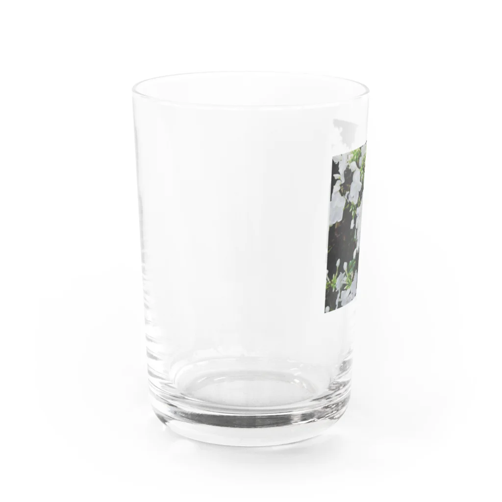 たもつの庭のしろい花 Water Glass :left