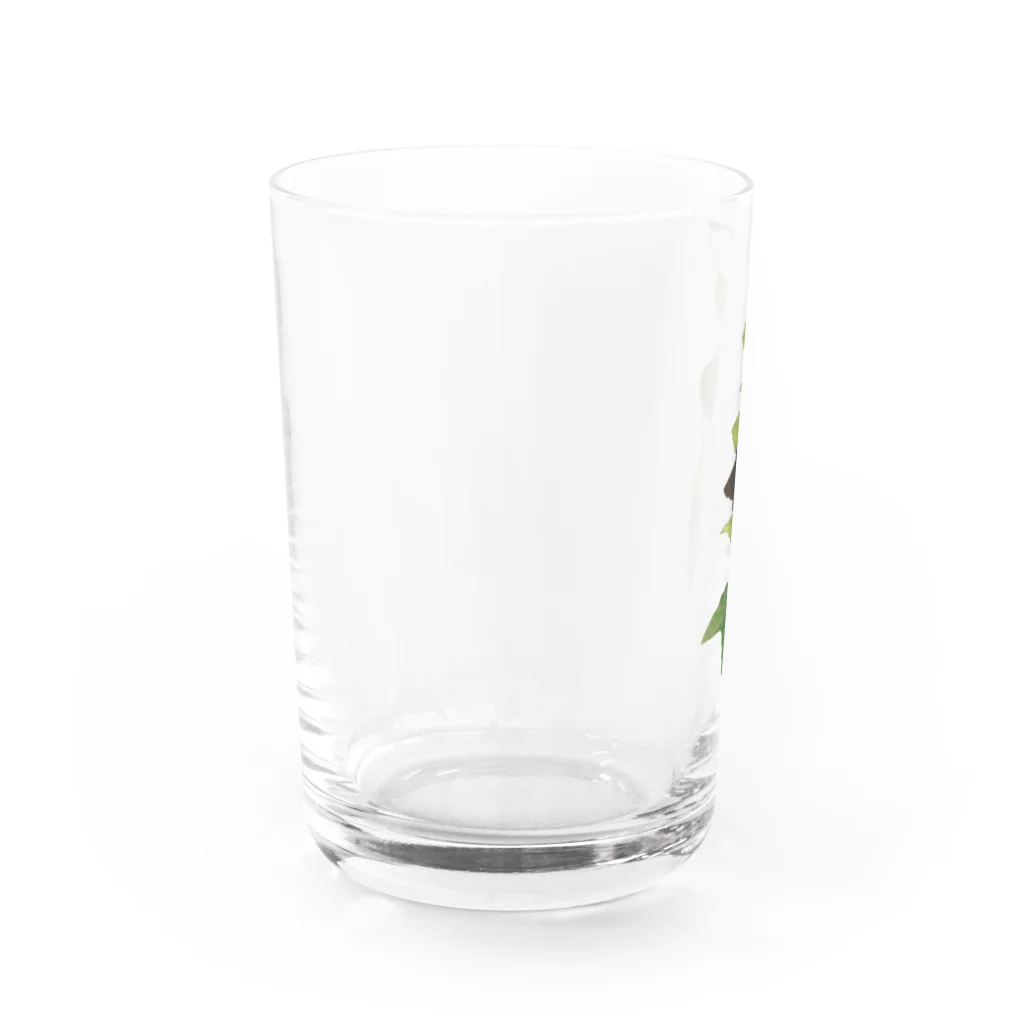 はっぴこの黒いベタ Water Glass :left