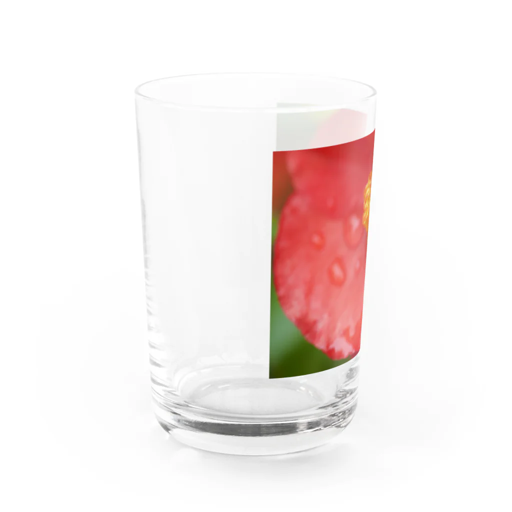 まいしょっぷマイユの赤いベゴニアちゃん Water Glass :left