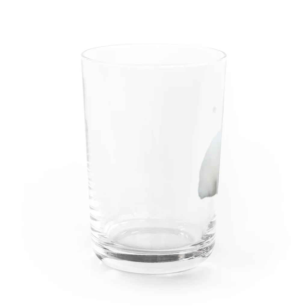 はるさめ商店のよこむきはるさめちゃん Water Glass :left