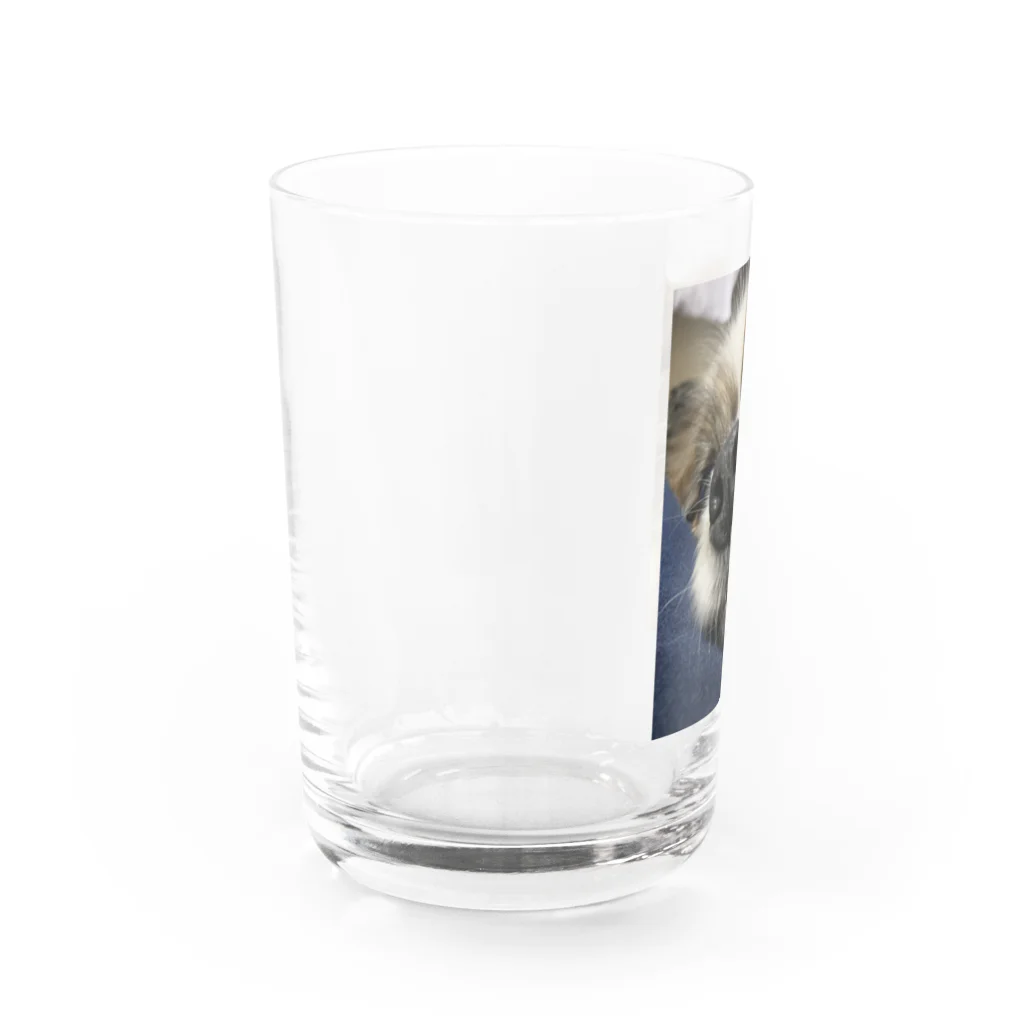 ばんびたんのうちのいぬ　22 Water Glass :left