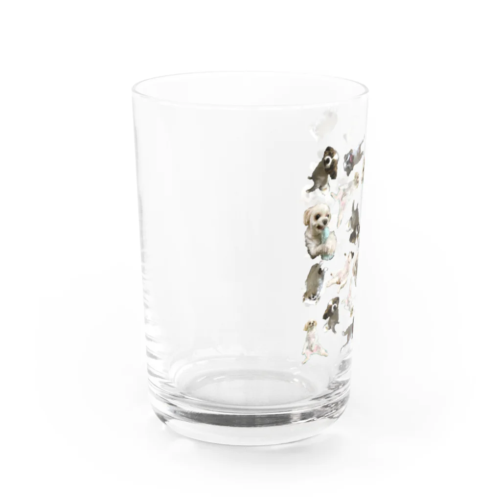 ばんびたんのうちのいぬ　23 Water Glass :left