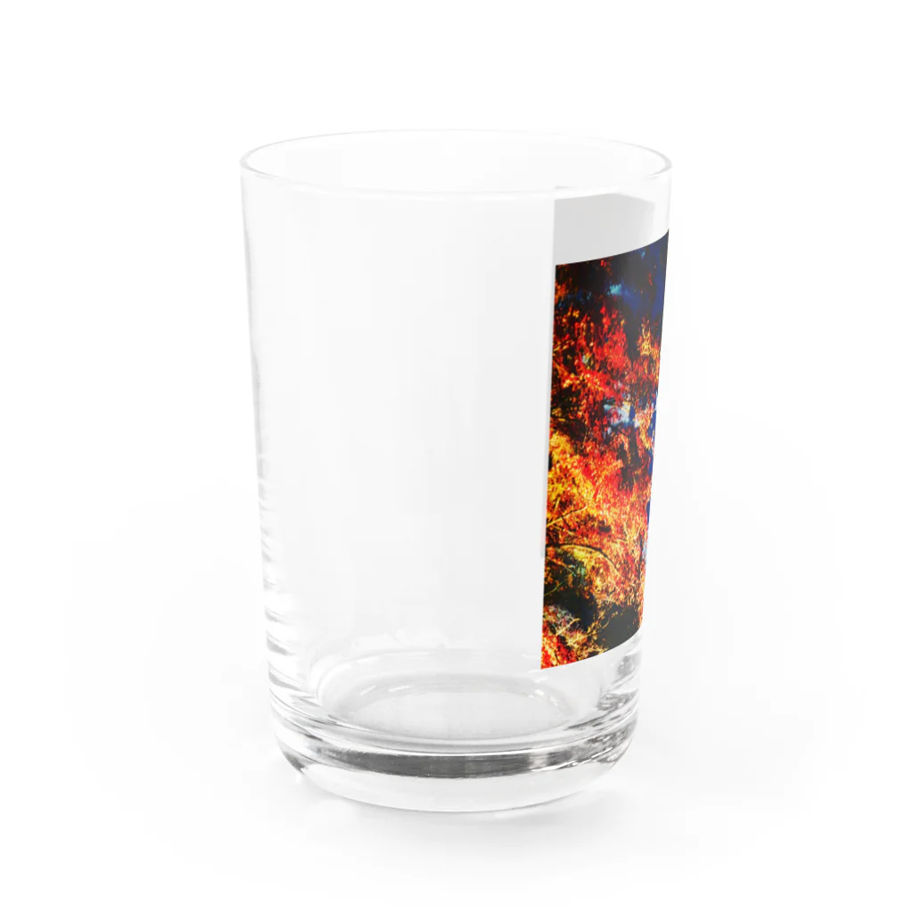 hanemaruyaの紅葉シリーズ Water Glass :left
