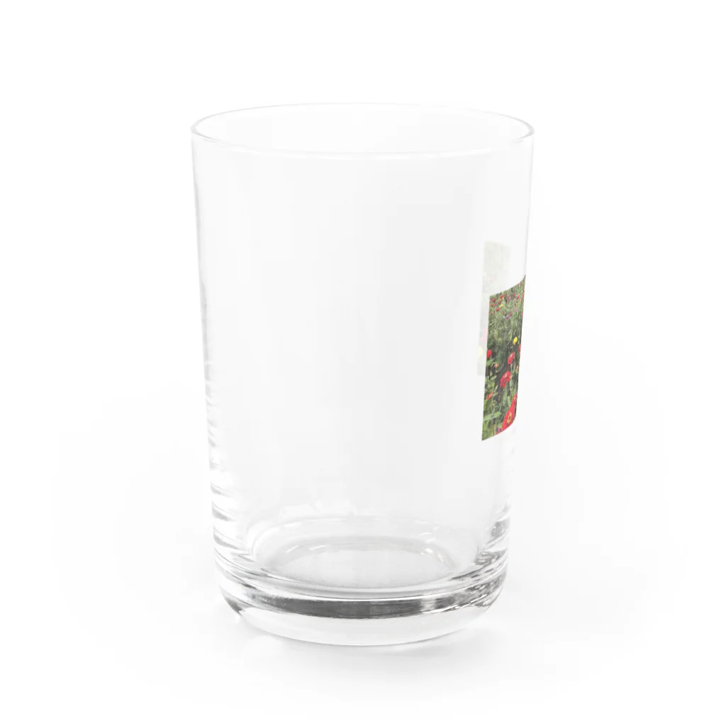 ﾂ--ﾂ--ﾂ--のakaihana Water Glass :left