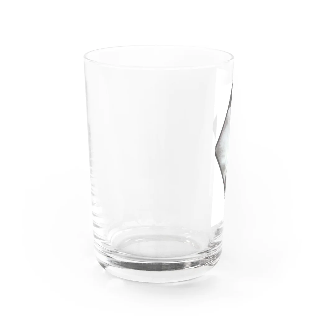 腹出し猫さんが癒しますの腹出しネコさん Water Glass :left