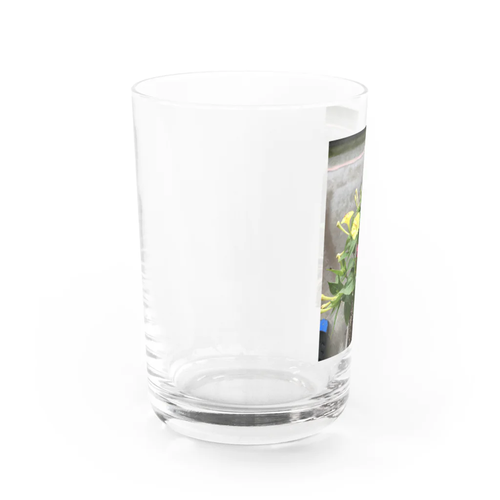 ばにーすぺーの明るい月見草Verミックス Water Glass :left