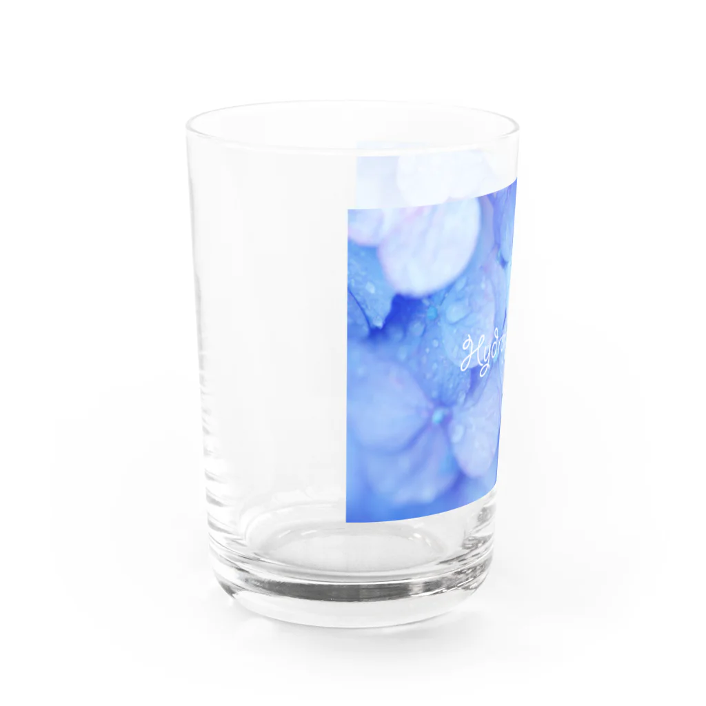 photo-kiokuのあじさい１ Water Glass :left