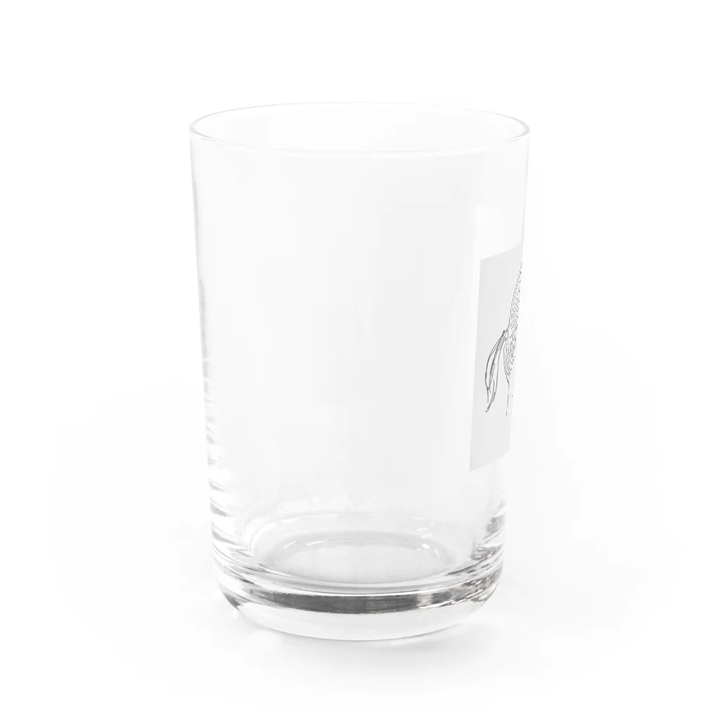 ｶ ﾇ ﾏのビフォー Water Glass :left