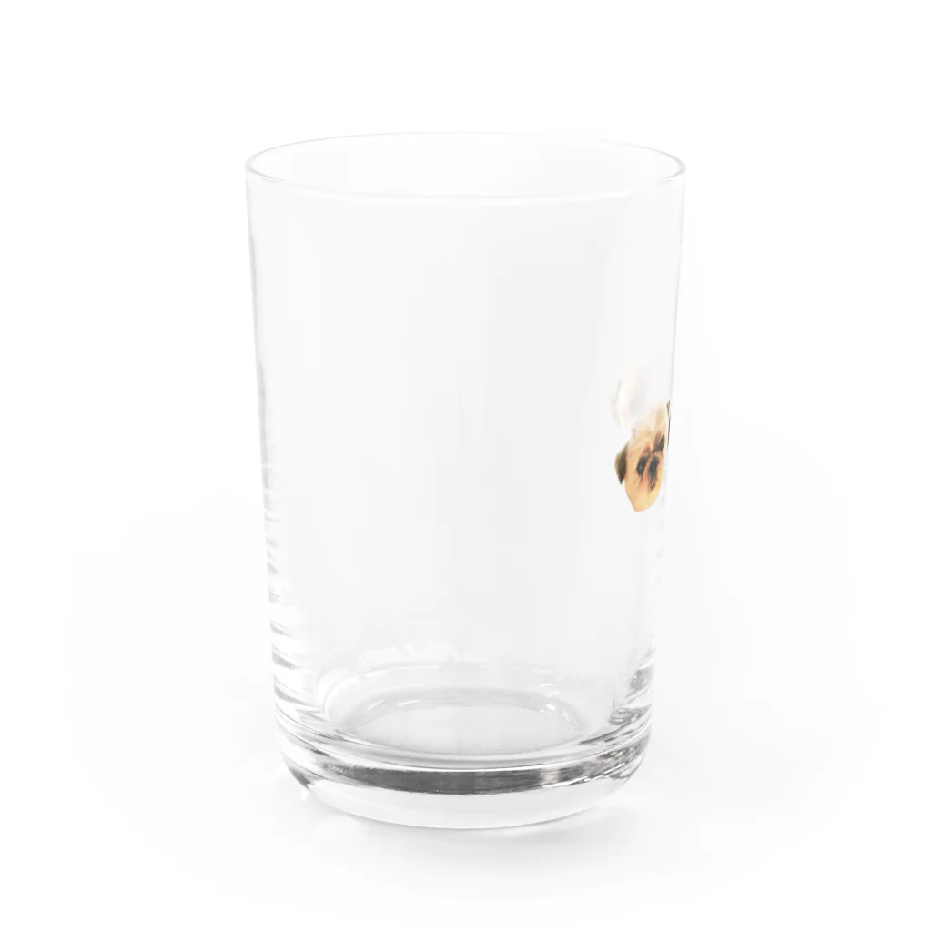 Kumibarcalow_のももとくるみ Water Glass :left