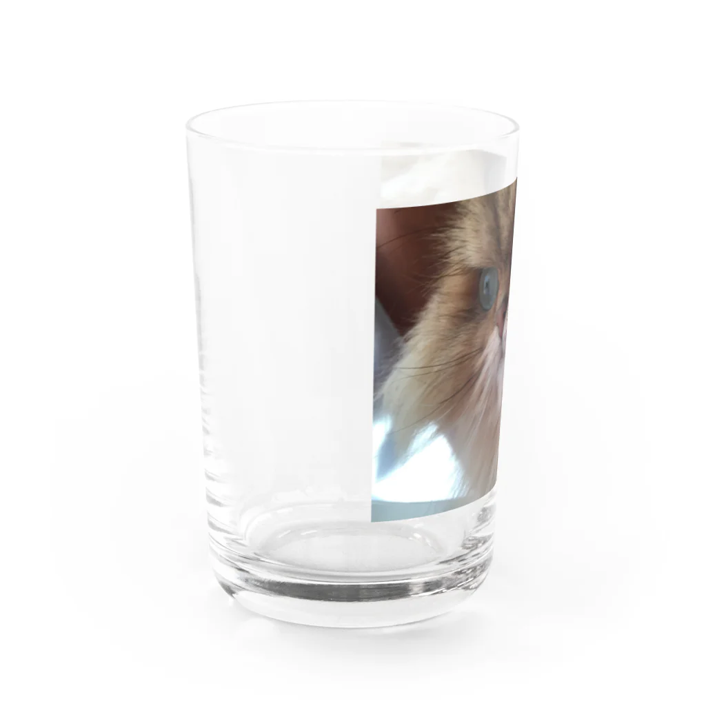 おもちショップのおもち Water Glass :left