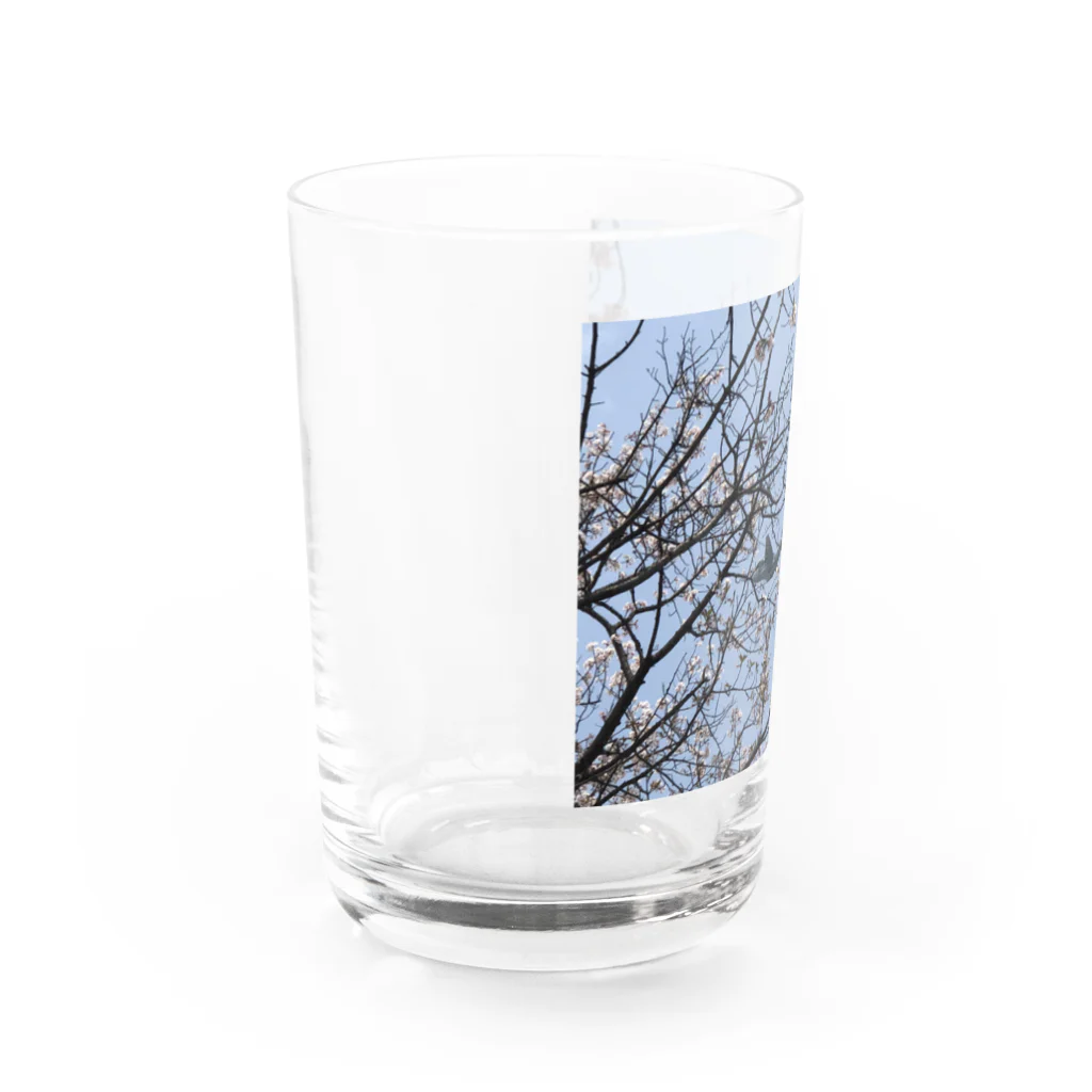 pomwoの飛行機好きなあなたへ Water Glass :left