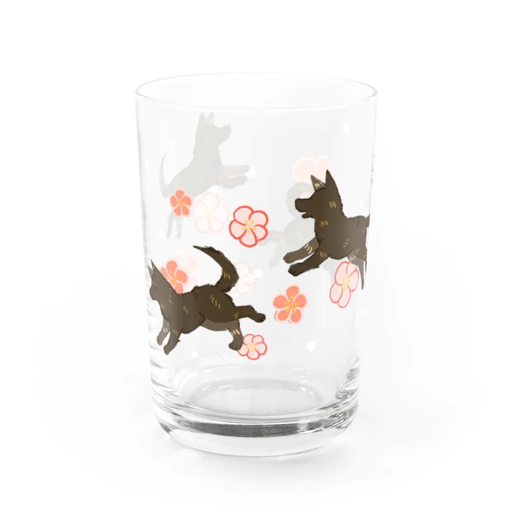 くろげちゃまじりの梅と甲斐犬 Water Glass :left