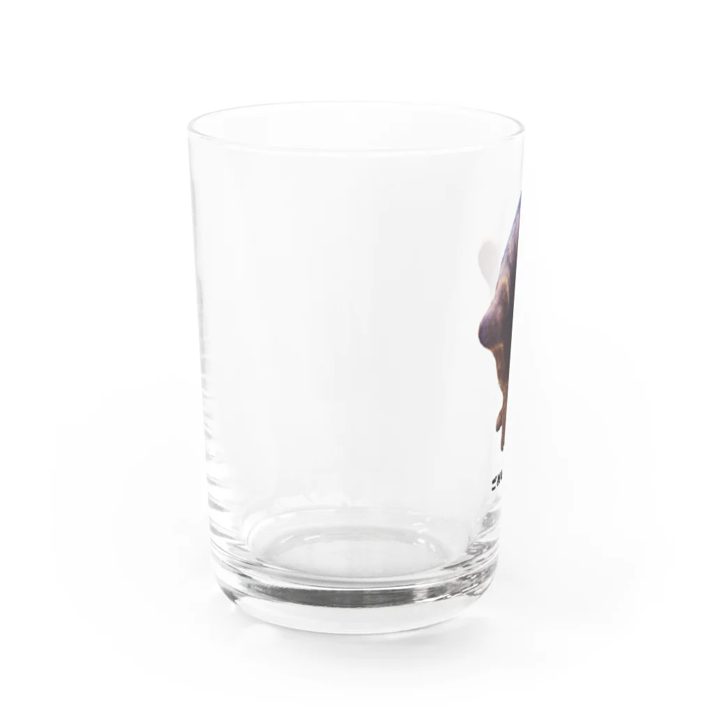 うさミミっミ(無駄に元気)のごめんねこ Water Glass :left