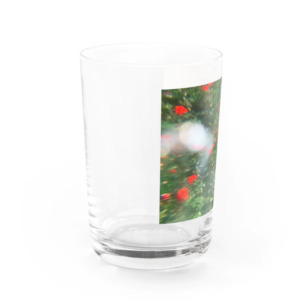 櫻田宗久の新宿の花　薔薇 Water Glass :left