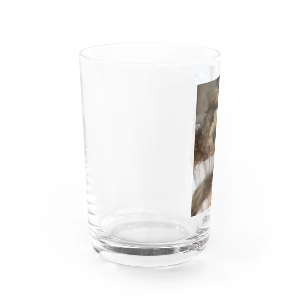 Tsukinomanjirouのかみかみハンニバル Water Glass :left