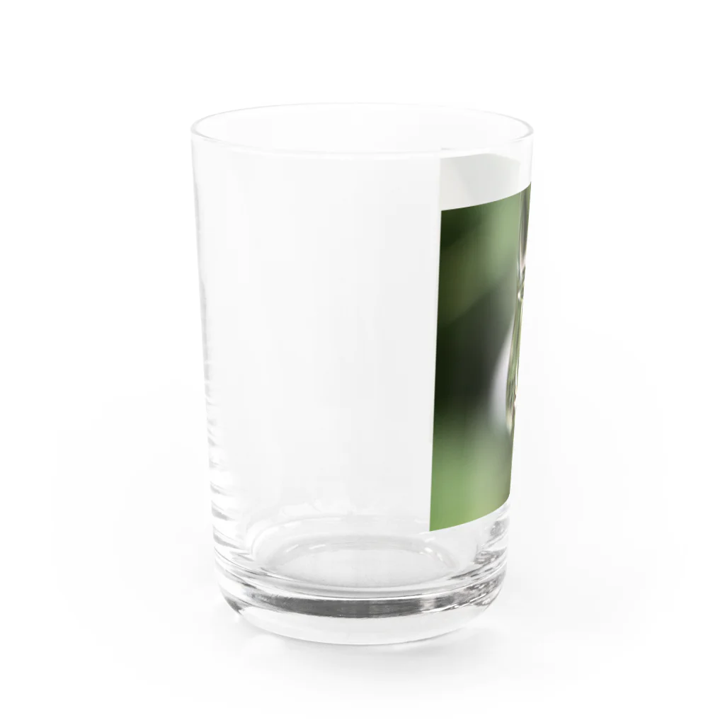 Mumearth Essenceのへんしん Water Glass :left