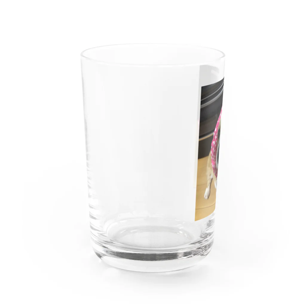   はりねずみのしろっぷのお店のスマイルひな Water Glass :left