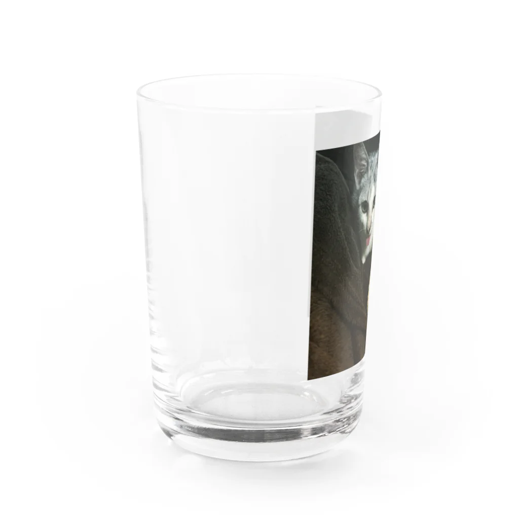 maya-jasmineのLove my プーチン Water Glass :left