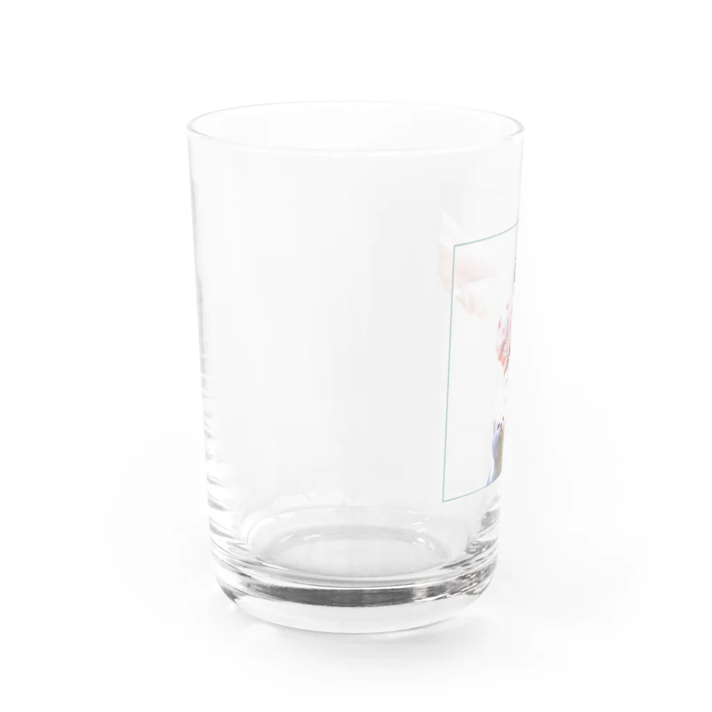 potetoaiの愛す猫 Water Glass :left