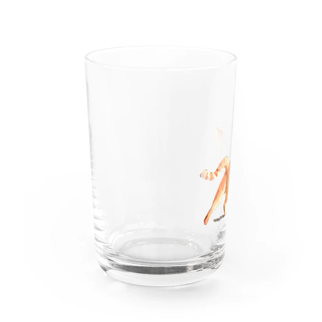 Sora_hの茶虎猫 Water Glass :left