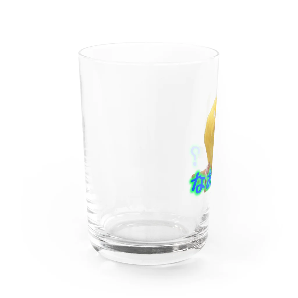 ぴーよこまる（セキセイインコ）のまるのなぁに？ Water Glass :left