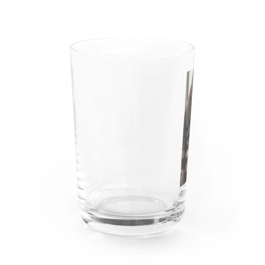 1193nutsのチャビ Water Glass :left