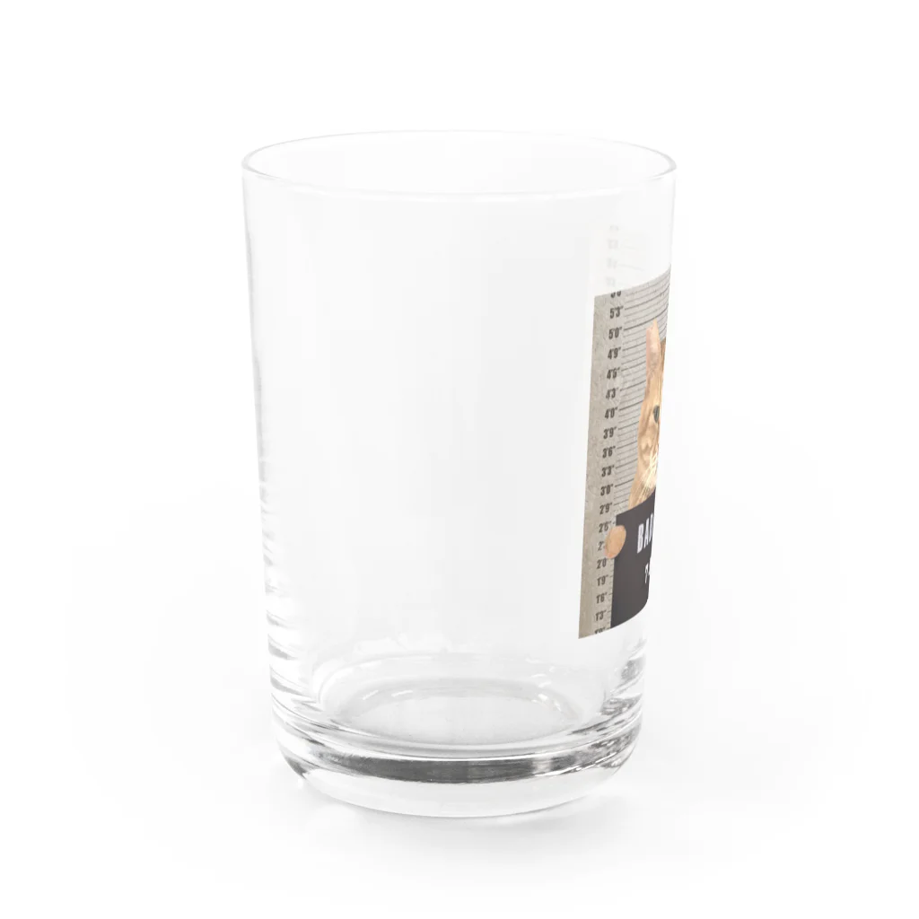 白と茶色屋の囚人番号788 Water Glass :left