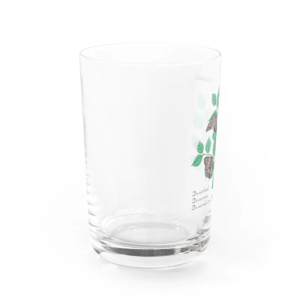 kitaooji shop SUZURI店のアカボシゴマダラとエノキ Water Glass :left