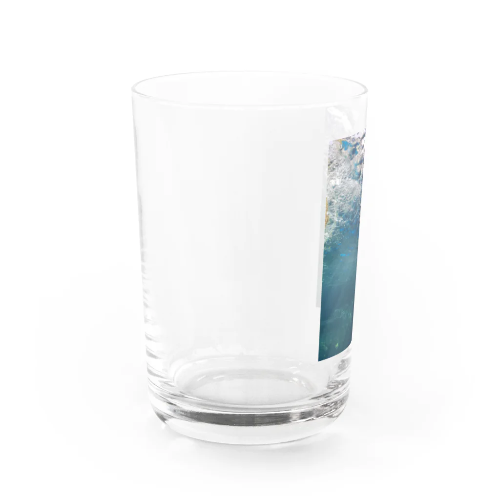 COCO+の空飛ぶペンギン Water Glass :left