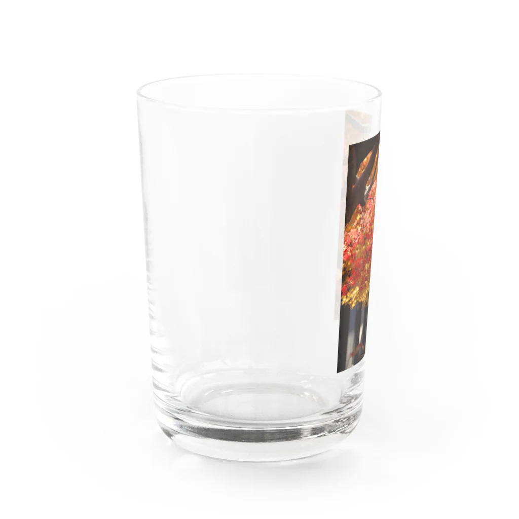 Barika7519の鹿児島　紅葉 Water Glass :left