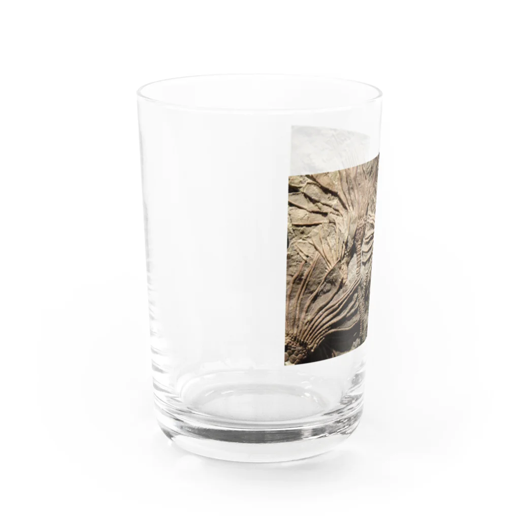 神田🅙のカクトクリヌス Water Glass :left