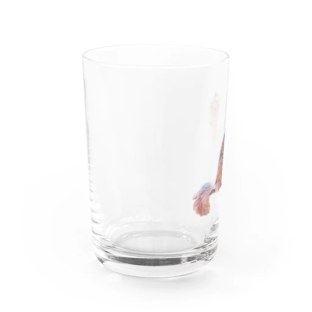 Persian LucyのLucyさん Water Glass :left