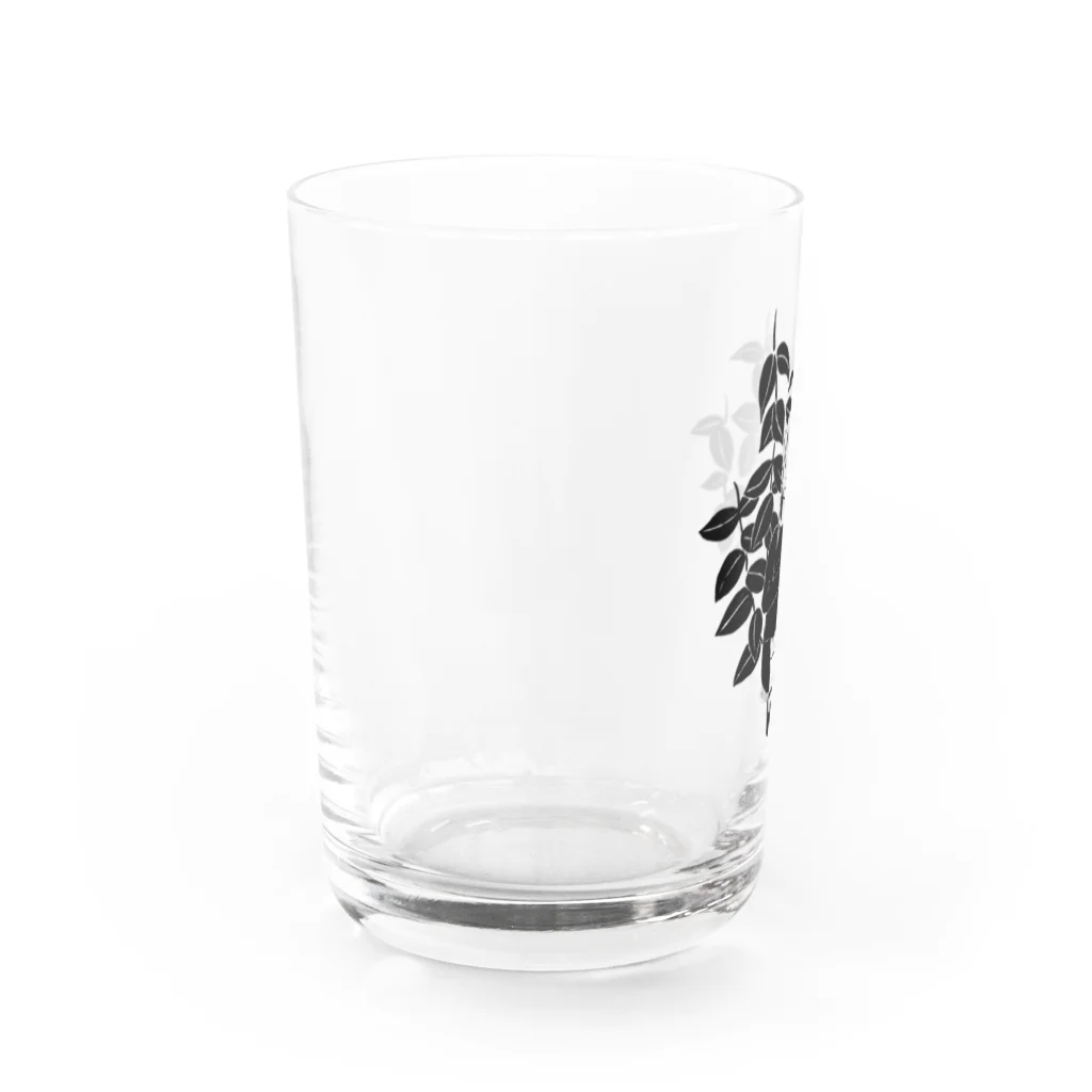 【Botanica】 の領域S Water Glass :left