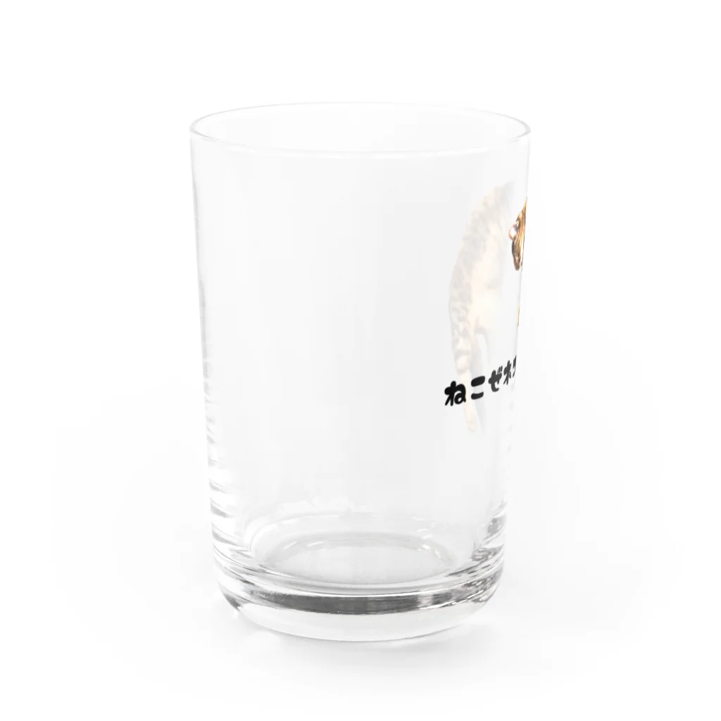 うさミミっミ(無駄に元気)のねこぜネコ Water Glass :left