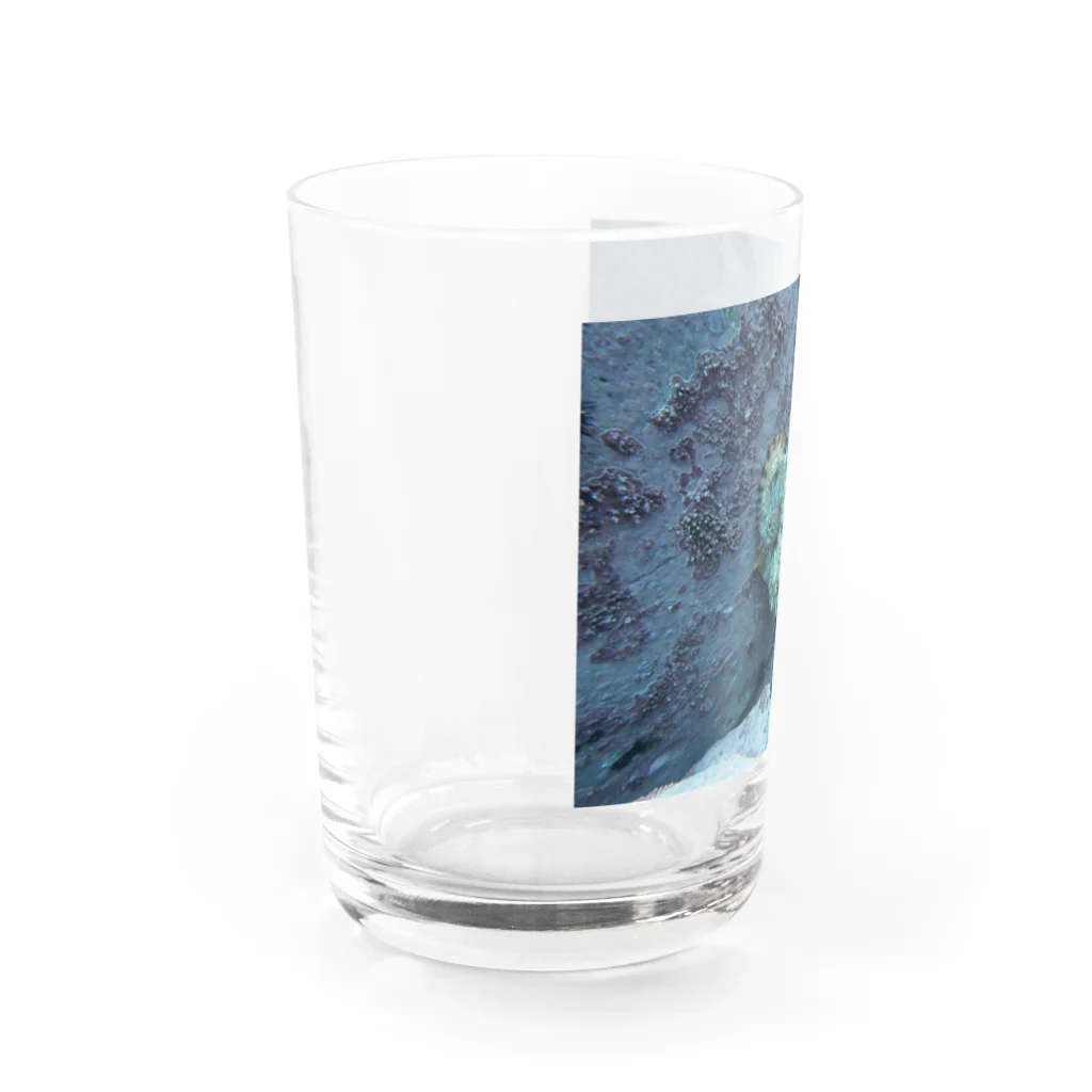 @om_filmzのタコ　青 Water Glass :left