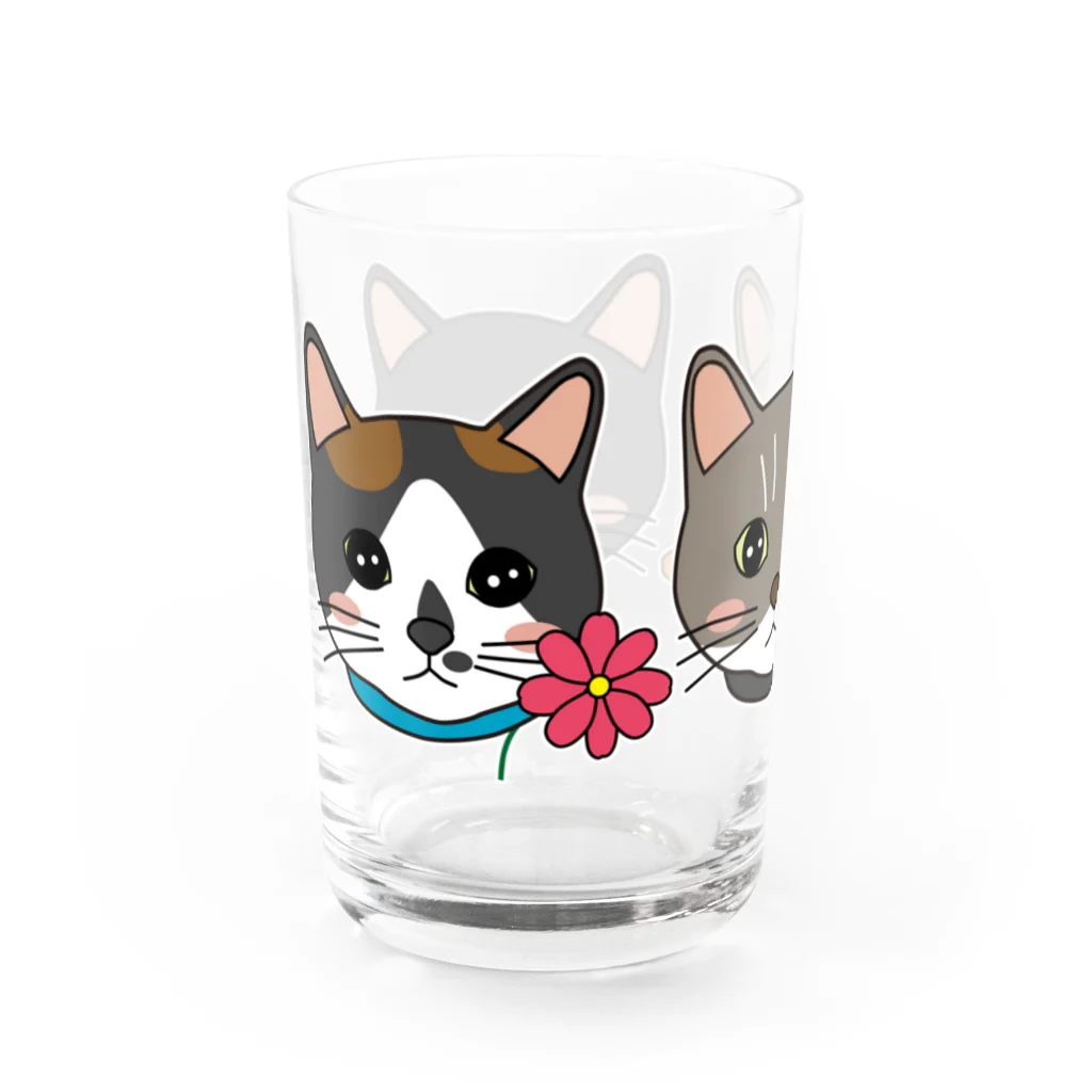 photo-kiokuのコスモスを付けている猫【かりん＆まろん＆じげん】 グラス左面