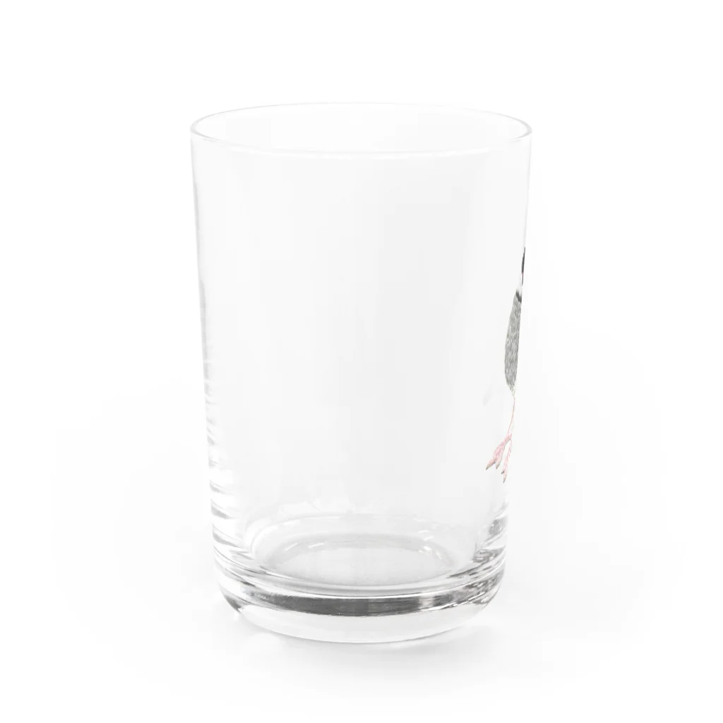 ソラマメの文鳥のぶんちょ Water Glass :left