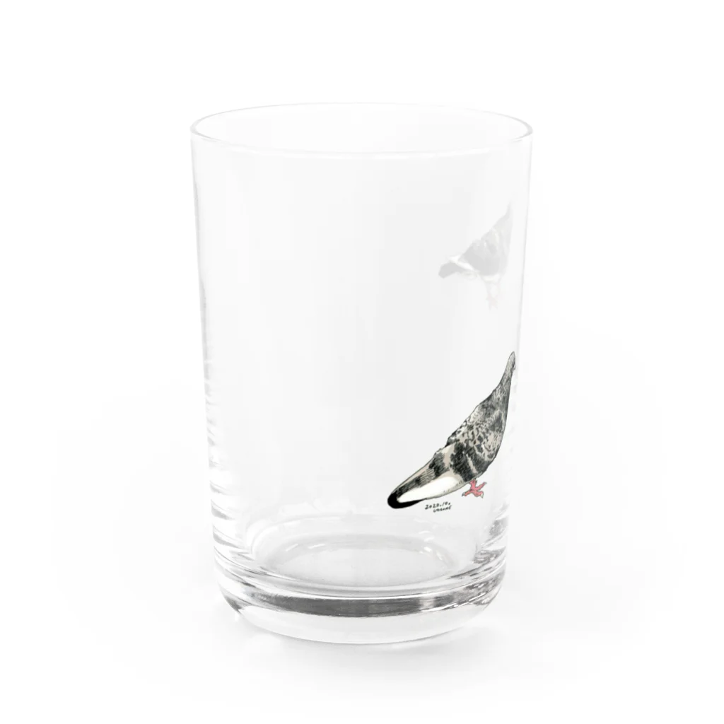 魚の目のお店のハト（スケルトン） Water Glass :left