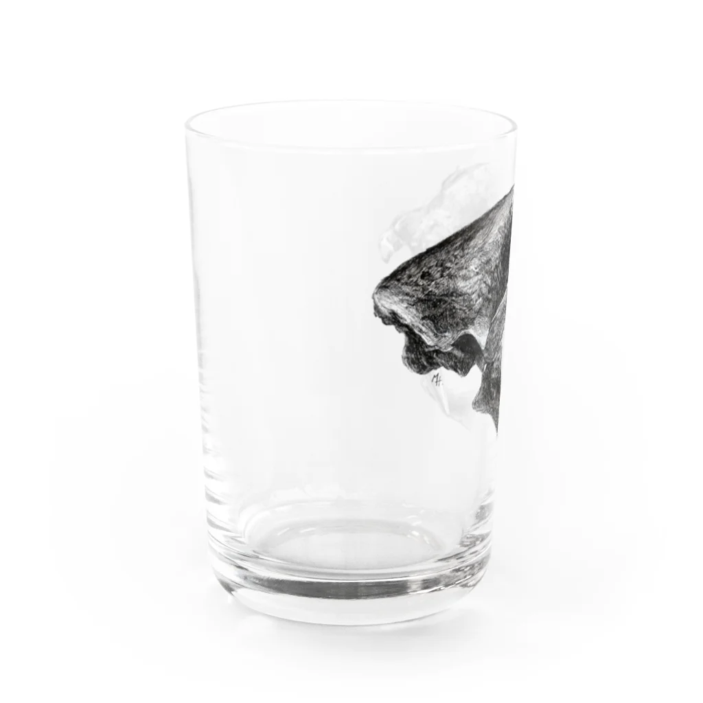 segasworksのスミロドン（頭の骨） Water Glass :left