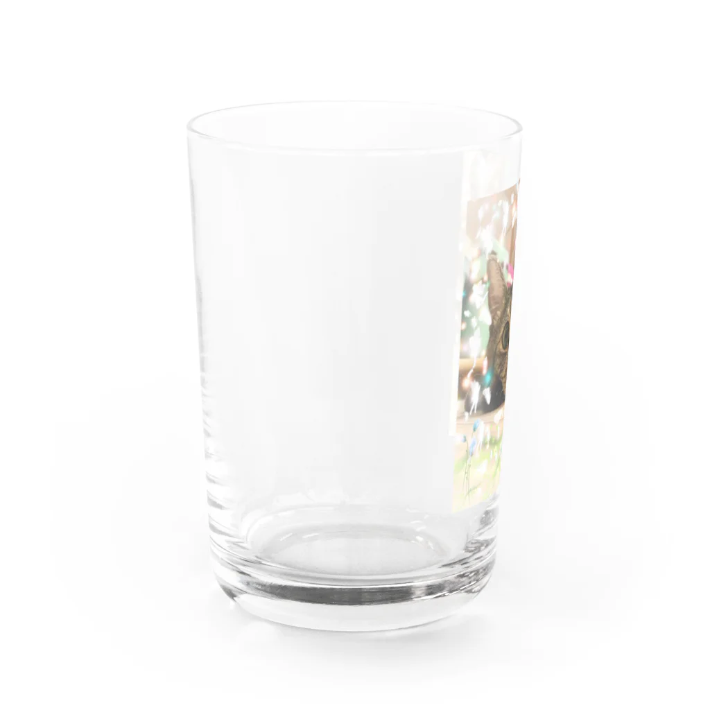 猫しゃちょうのキジトラのトラオくんinゆぽんた家 Water Glass :left