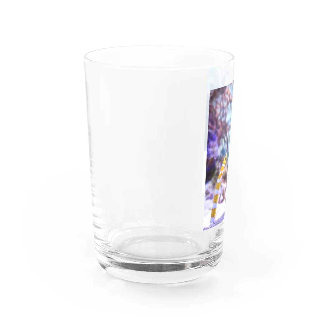 shiori@依頼募集中の可愛いチンアナゴ Water Glass :left