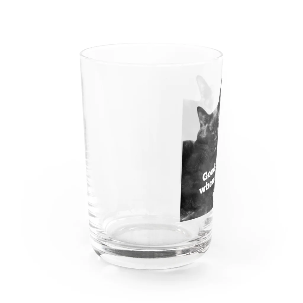 マロマロのKURONEKO Water Glass :left