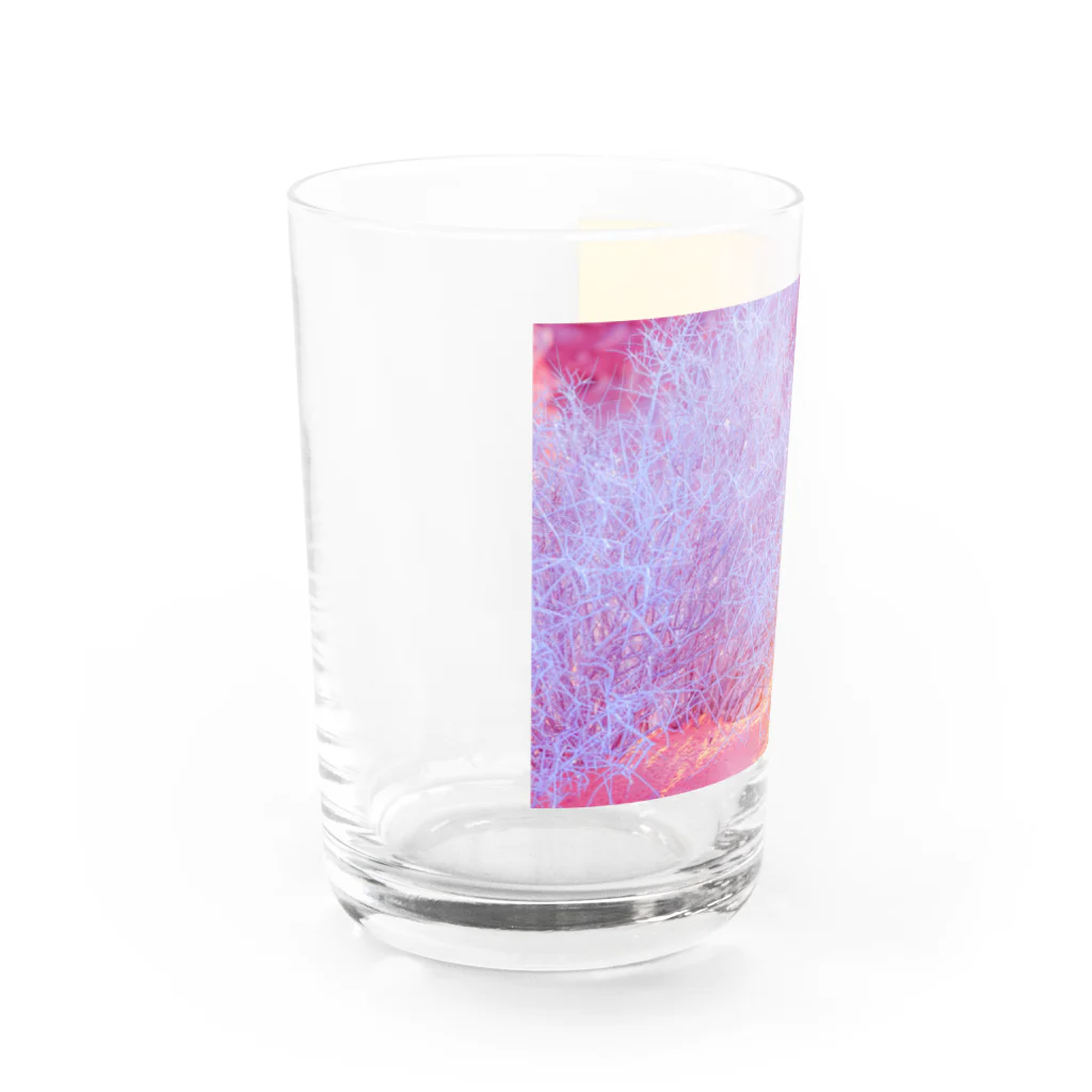 NEON LIGHT STARSのキラキラ植物 Water Glass :left