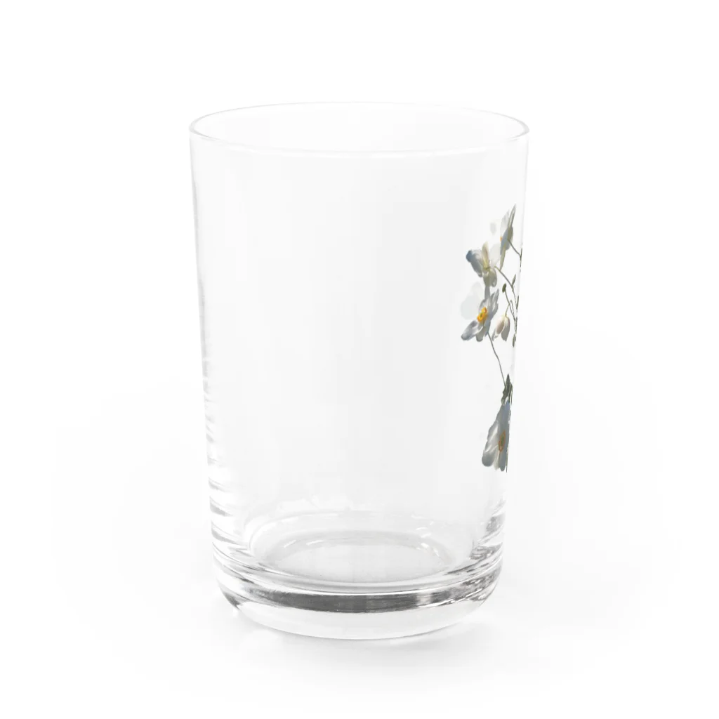 マロマロの秋明菊咲いた！ Water Glass :left