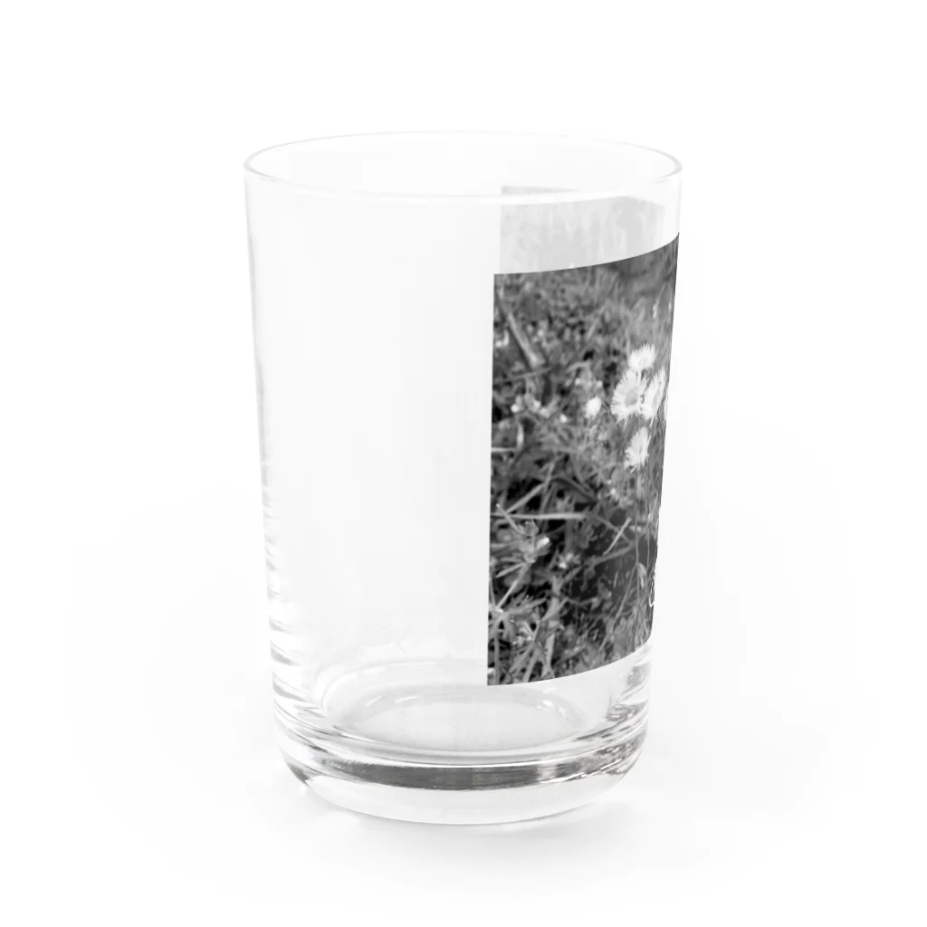SONOTANOMONOのSONOTANOFLOWER Water Glass :left