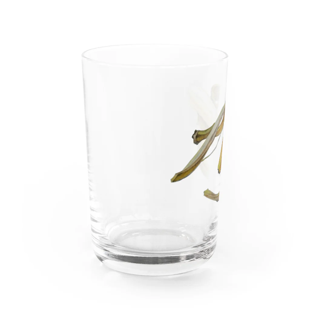 モトコ商店のスティルライフ_バナナ Water Glass :left