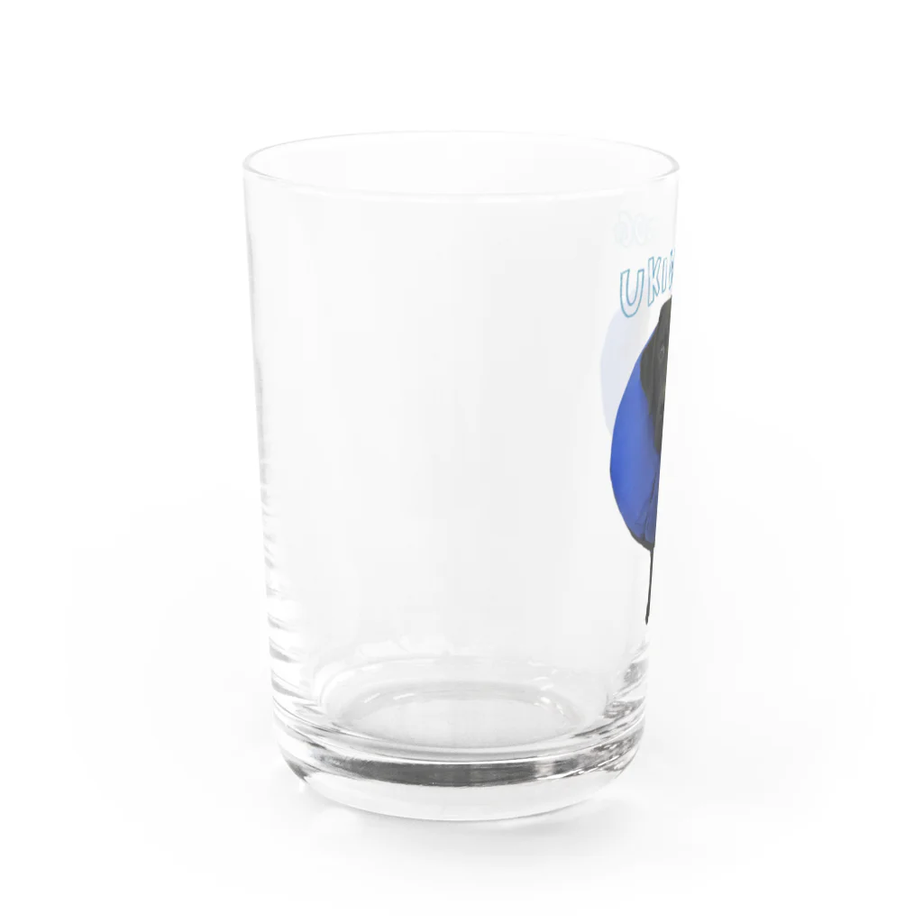 食いしん坊の黒ラブクロエのクロエ Water Glass :left