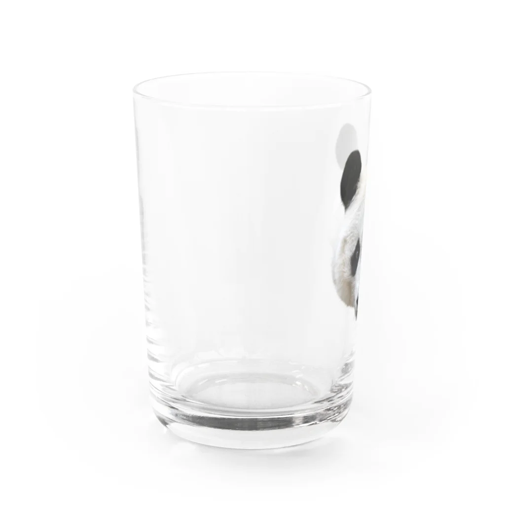 どうぶつ屋のPanda! Water Glass :left